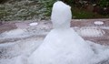 В Ардинско направиха снежен човек от ледени късове