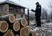 Полицаи откриха незаконни дърва в Малко Враново Полицаи откриха незаконни дърва в Малко Враново