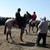 Провеждат национален турнир по конни надбягвания в Сандрово