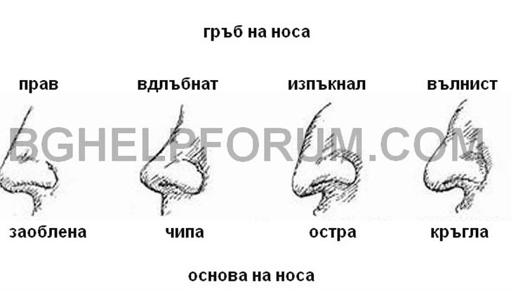 Какво говори формата на носа ти за характера ти