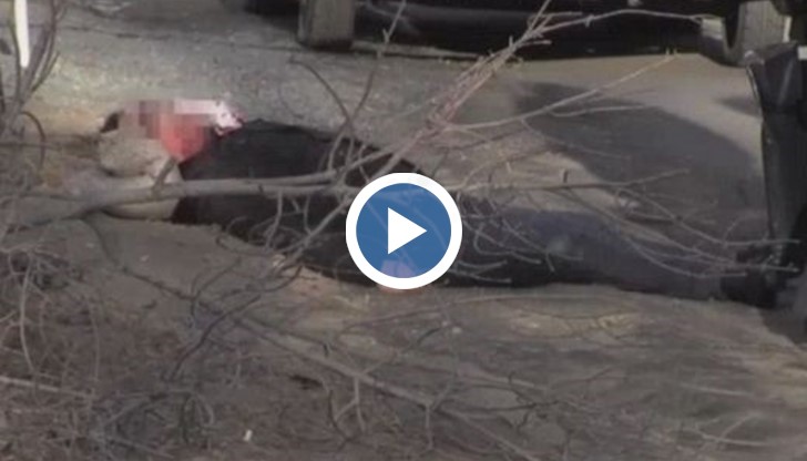 40-годишен руснак бе убит на място от преминаващ автомобил в Челябинск.