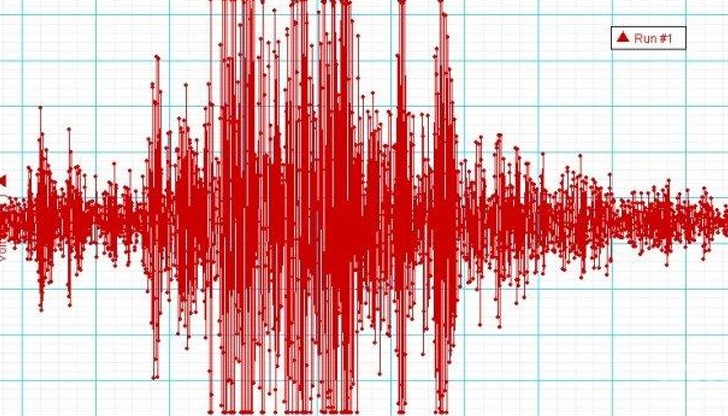 Трусът е усетен, както по ниските и високите етажи