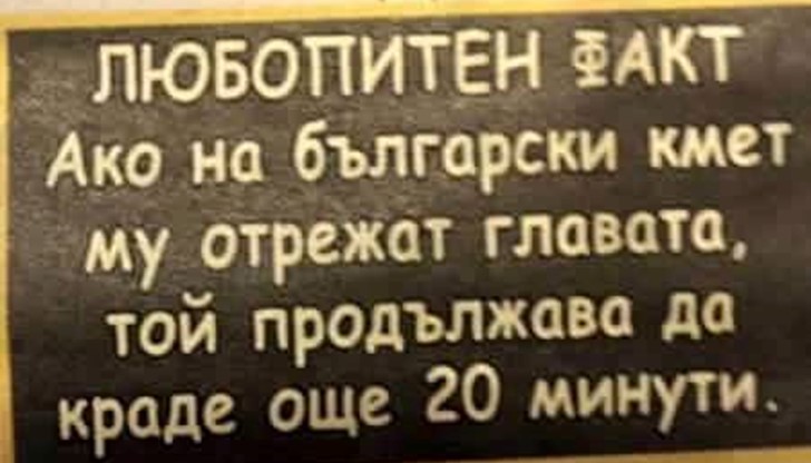 Ако на български кмет му отрежат главата, той продължава да краде още 20 минути