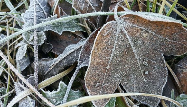 аксималните температури слабо ще се повишат и ще бъдат между 5° и 10°