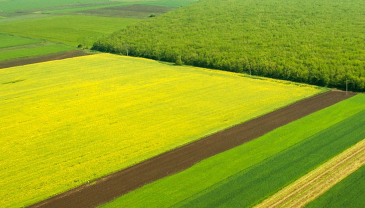 Къде са най-високите цени на продажба