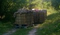 Изхвърлиха над 9 тона животински отпадъци в лесопарк „Побит камък“