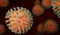 Инфекционист: След години КОВИД-19 ще стане още по-заразен, но с по-малко усложнения