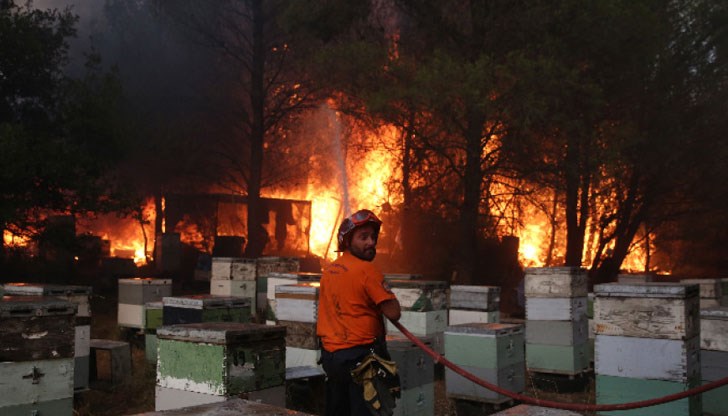 Стотици къщи изгоряха, продължават евакуациите