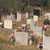 Община Русе: Погребенията на Задушница ще са в следобедните часове