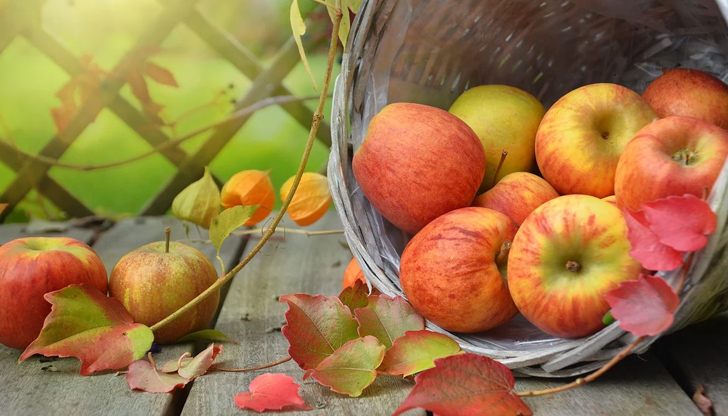 Ябълките са сред най-полезните храни, с които природата ни е