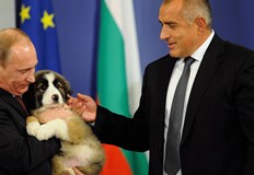 Кучето е виновно не българският пуделПри Волгин Вацев казва че
