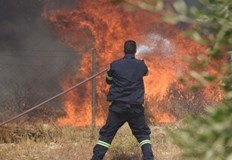 Голям пожар бушува край атинското предградие Ано ГлифадаТова съобщиха гръцки медии цитирани