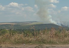 Засега огънят е низов няма опасност за хоратaОгънят е тръгнал