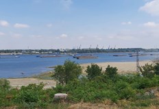 Безпрецедентна суша по поречието на река Дунав Изисква се майсторство