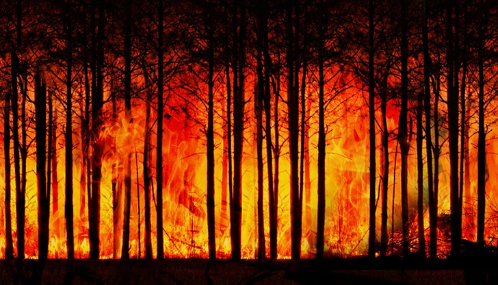 Над 1300 души бяха евакуирани заради поредния горски пожар в