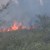 Над 100 души гасят пожара между две варненски села, който се активира отново