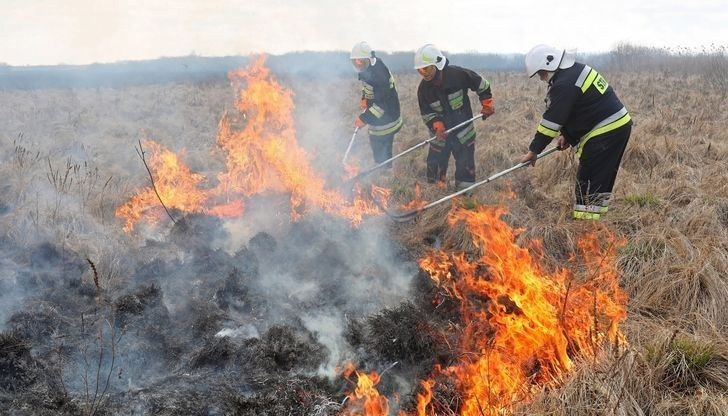 В осем от случаите огнеборците са гасили запалвания на сухи
