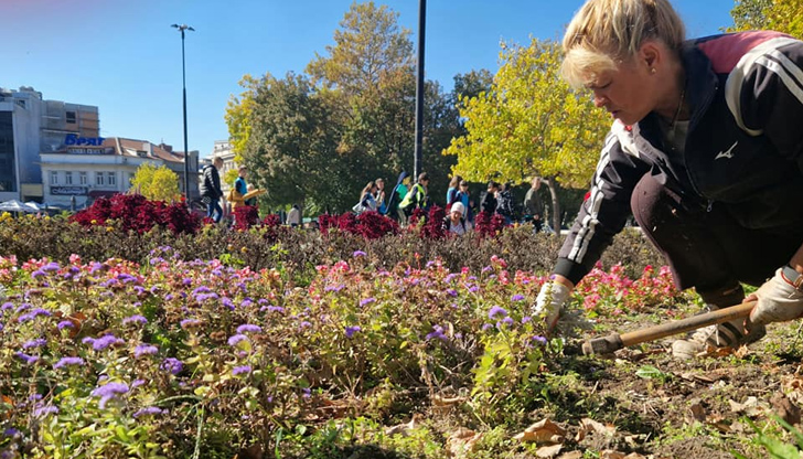 Служителите на Паркстрой обновяват централните градинки Раждането на новите есенни килими