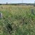 Община Русе се кани да глобява гражданите, които не поддържат гробовете на близките си