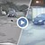 Мъж опита да прегази две бездомни кучета в Русе
