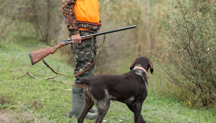 Кучето на ловеца е стъпило върху необезопасена пушка на задната