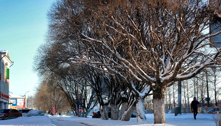 Възможно е тази зима да е най-топлата за България откакто