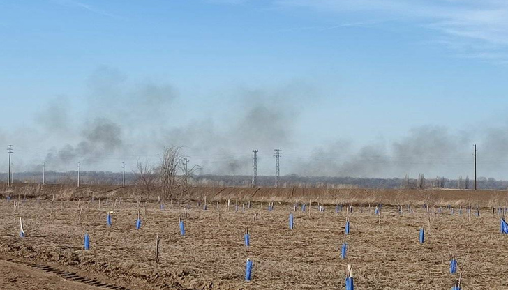 Пожарът е запален по време на брачния период и гнезденето