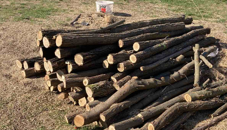 Дървеният материал е стопанисван от мъже на 52 и 43
