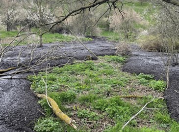 РИОСВ - Русе: Не са установени нови разливи на торови маси край Писанец