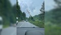 Авария на пътя: Електрически стълб се наклони край Долни Пасарел