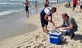 Има ли замърсяване на морската вода при Кранево и Албена?