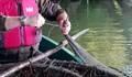 ИАРА намери незаконни риболовни уреди в река Дунав