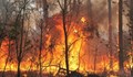 Голям пожар обхвана гръцки остров