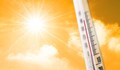 Месец май 2024 година е бил най-горещият в света в историята на измерванията