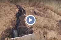Реки от нефтен отпадък потекоха в Русе