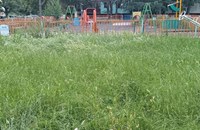 Русенци се борят с буйна трева и боклуци през лятото