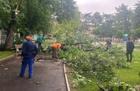 Община Русе: Дежурните екипи отстраняват щетите след снощната буря