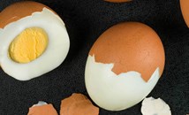 Руски диетолог: Яйцата не са вредни за сърцето