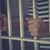 Осъдиха на затвор българин за изнасилвания на жени във Великобритания