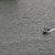 Откриха тялото на български моряк, изчезнал във водите на река Дунав