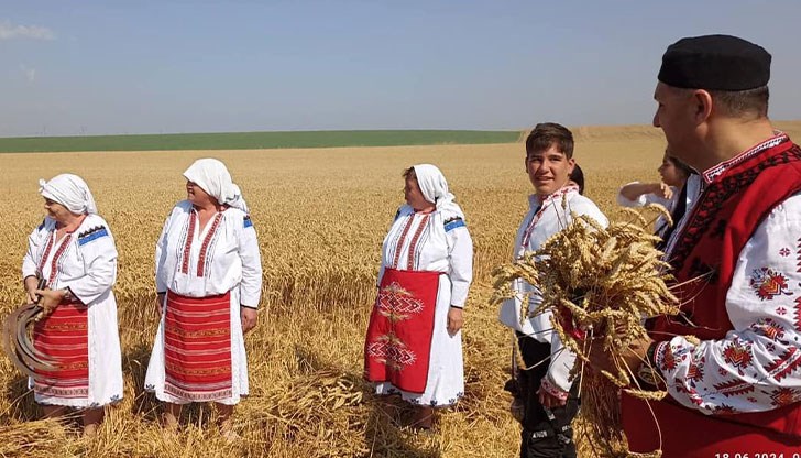 Местните пресъздадоха народния обичай “зажънване"