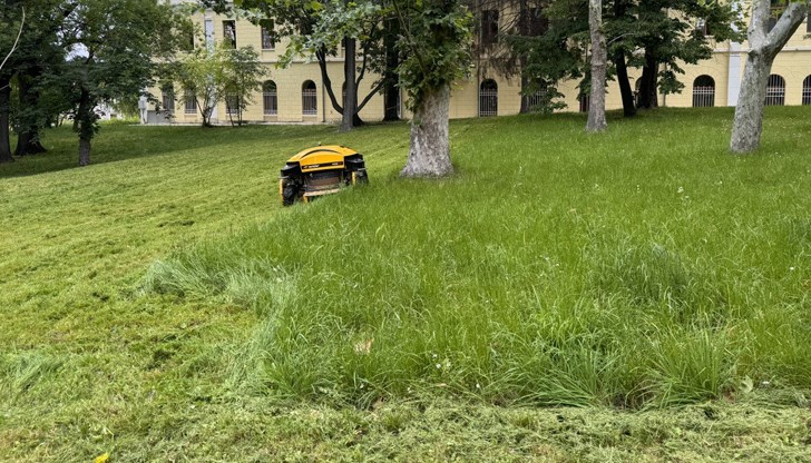 Служителите на ОП „Паркстрой“ ще работят в района на ГКПП „Дунав мост“, булевард „България“