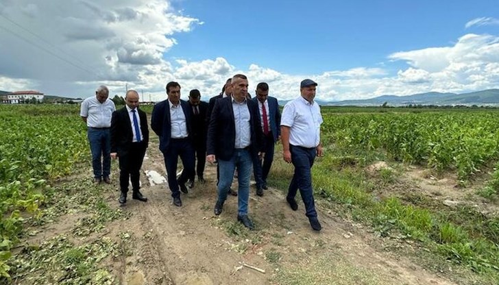 Министърът на земеделието се срещна с фермери, чиято продукция бе унищожена от градушки