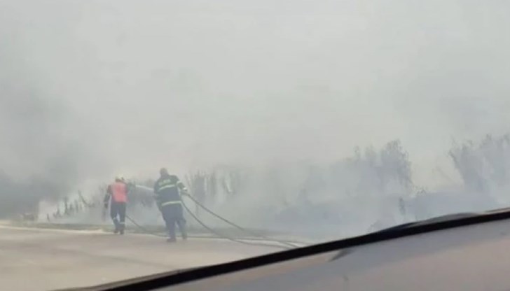 Пламнали са насаждения и сухи треви по пътя за Суворово