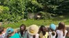 Лисица се засели с малките си в двора на детска градина в София