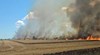 Огромен пожар унищожи 100 декара реколта край Балчик