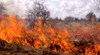 Голям пожар избухна край Бургас