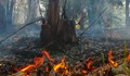 Пожар лумна в землището между Драгомир и Мало Крушево