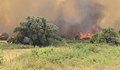 Пожарът край село Воден отново се разгоря