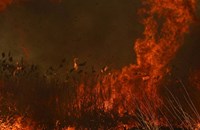 Червен код за опасност от пожари в Северна България